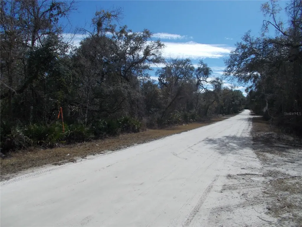 0000 NE 836th Street Old Town FL 32680