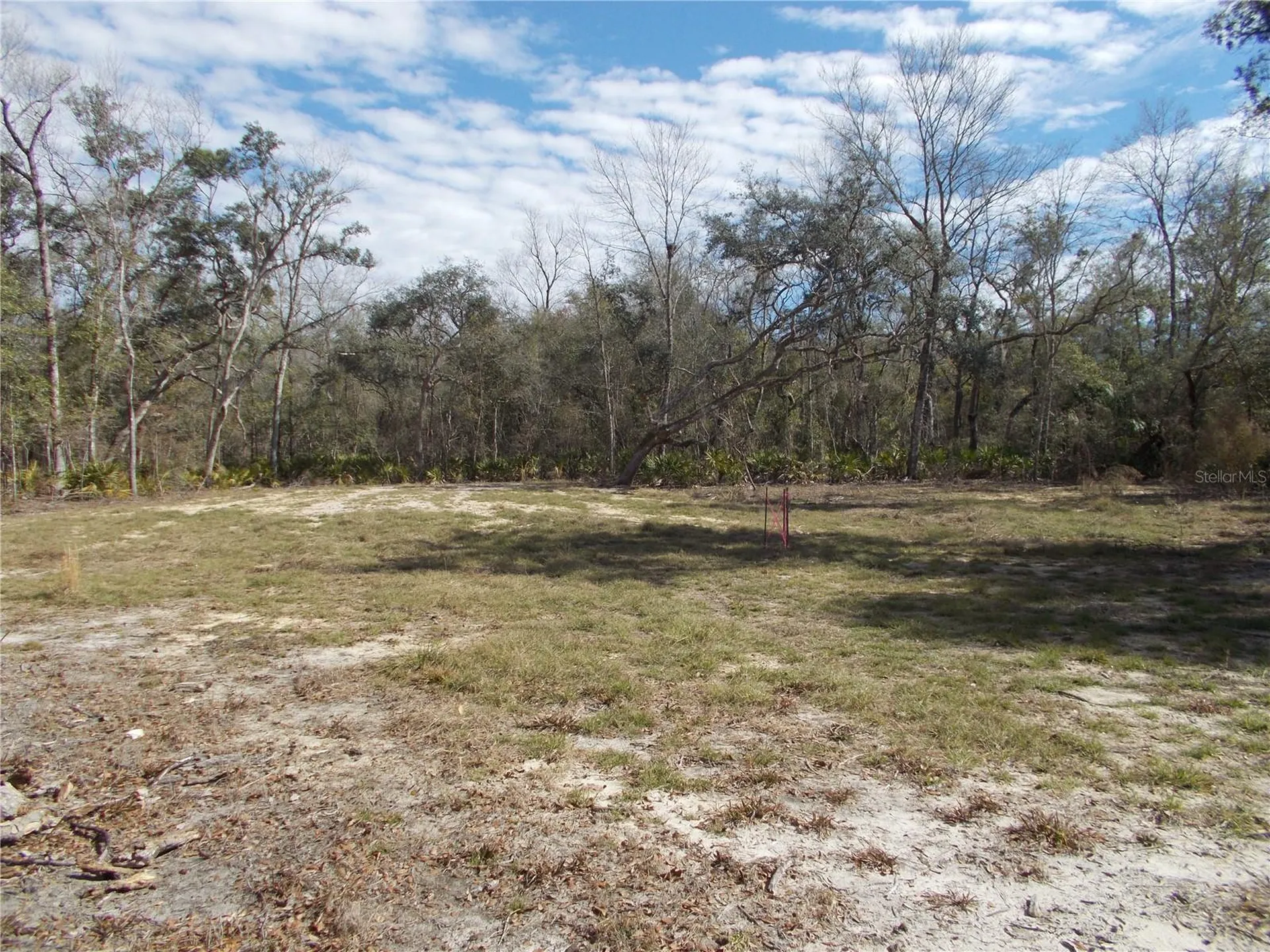 0000 NE 836th Street Old Town FL 32680