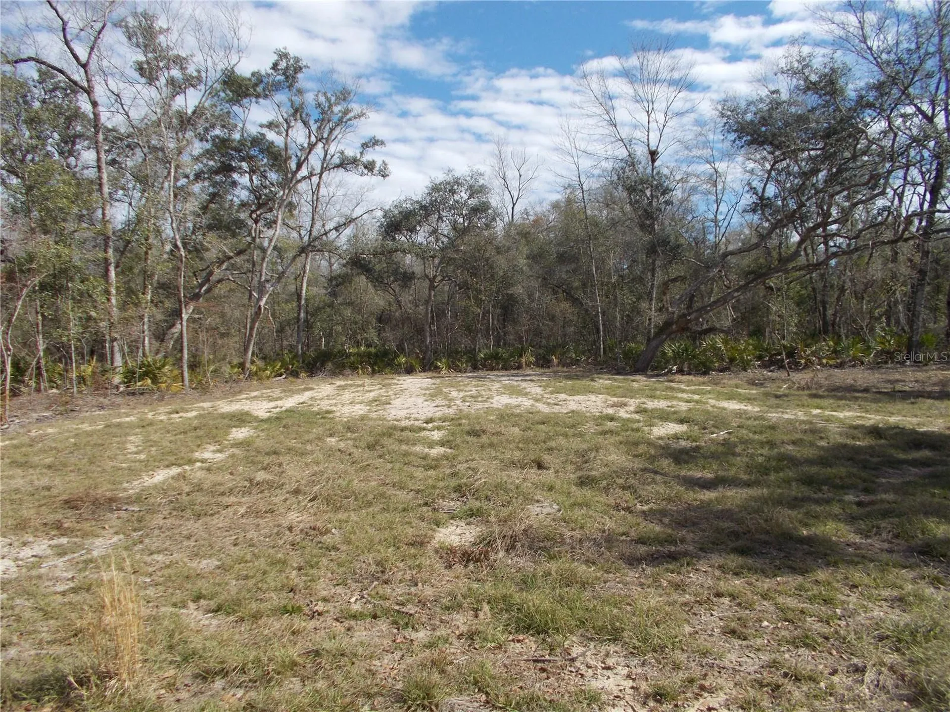 0000 NE 836th Street Old Town FL 32680