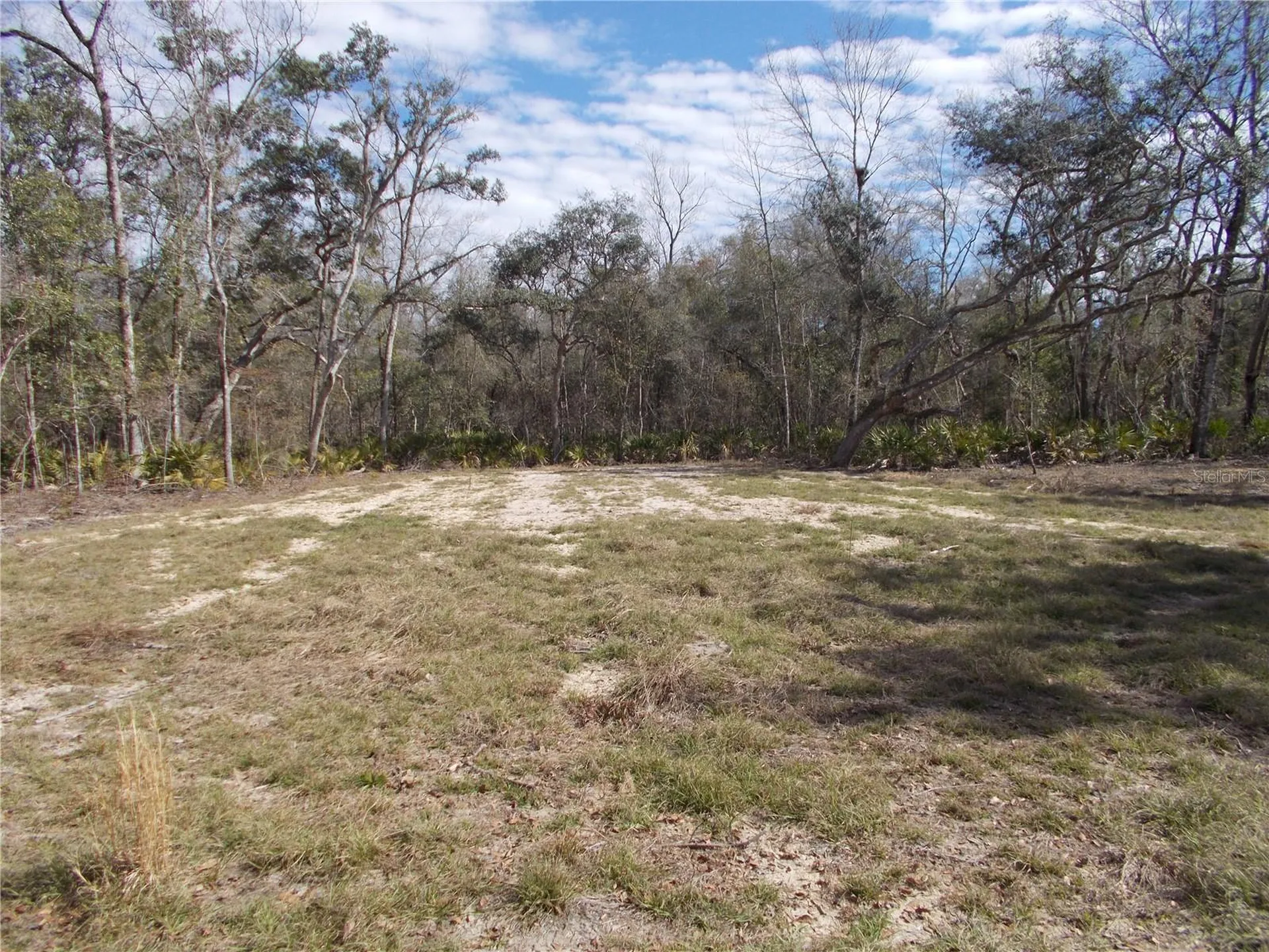 0000 NE 836th Street Old Town FL 32680