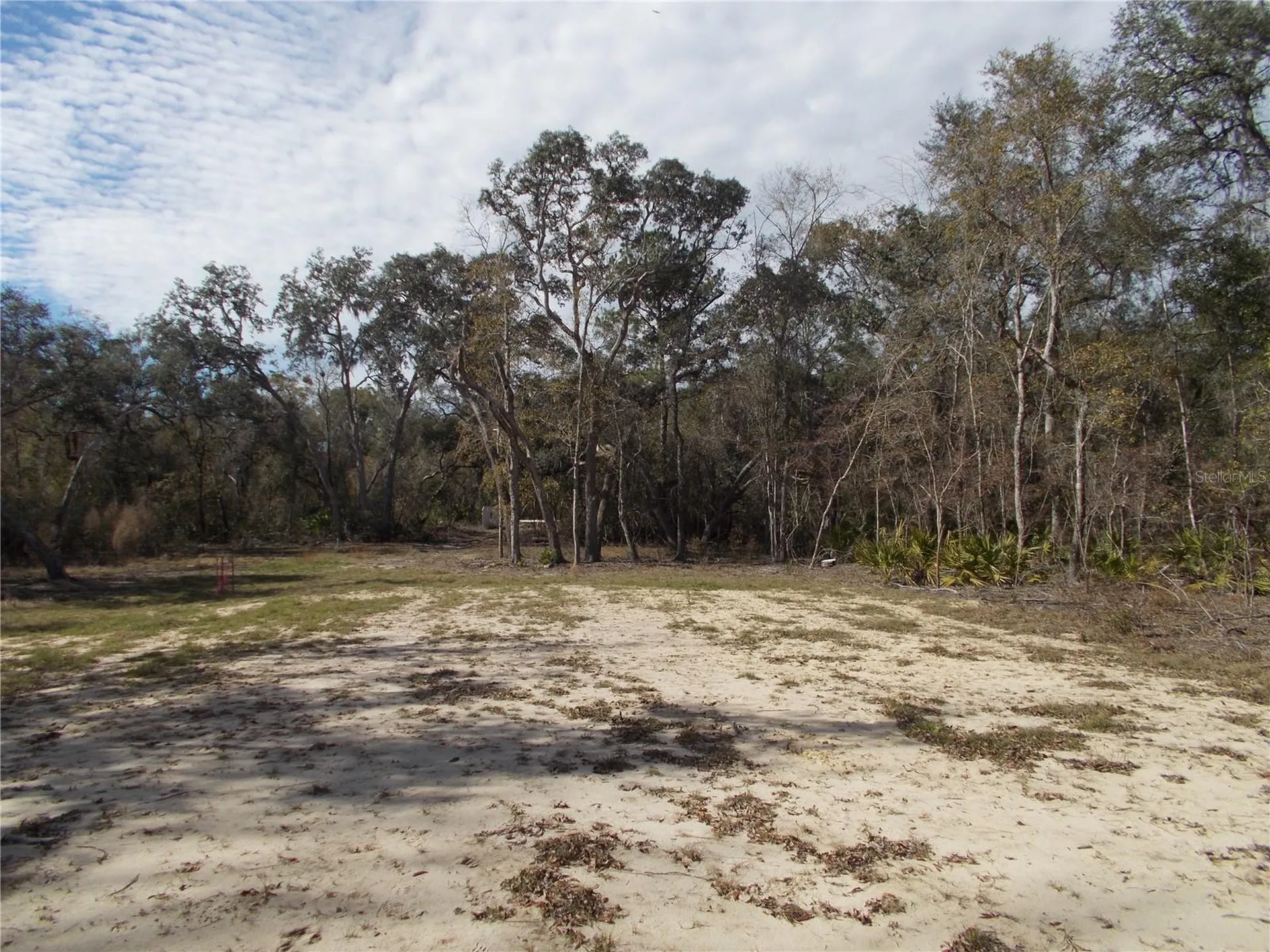 0000 NE 836th Street Old Town FL 32680