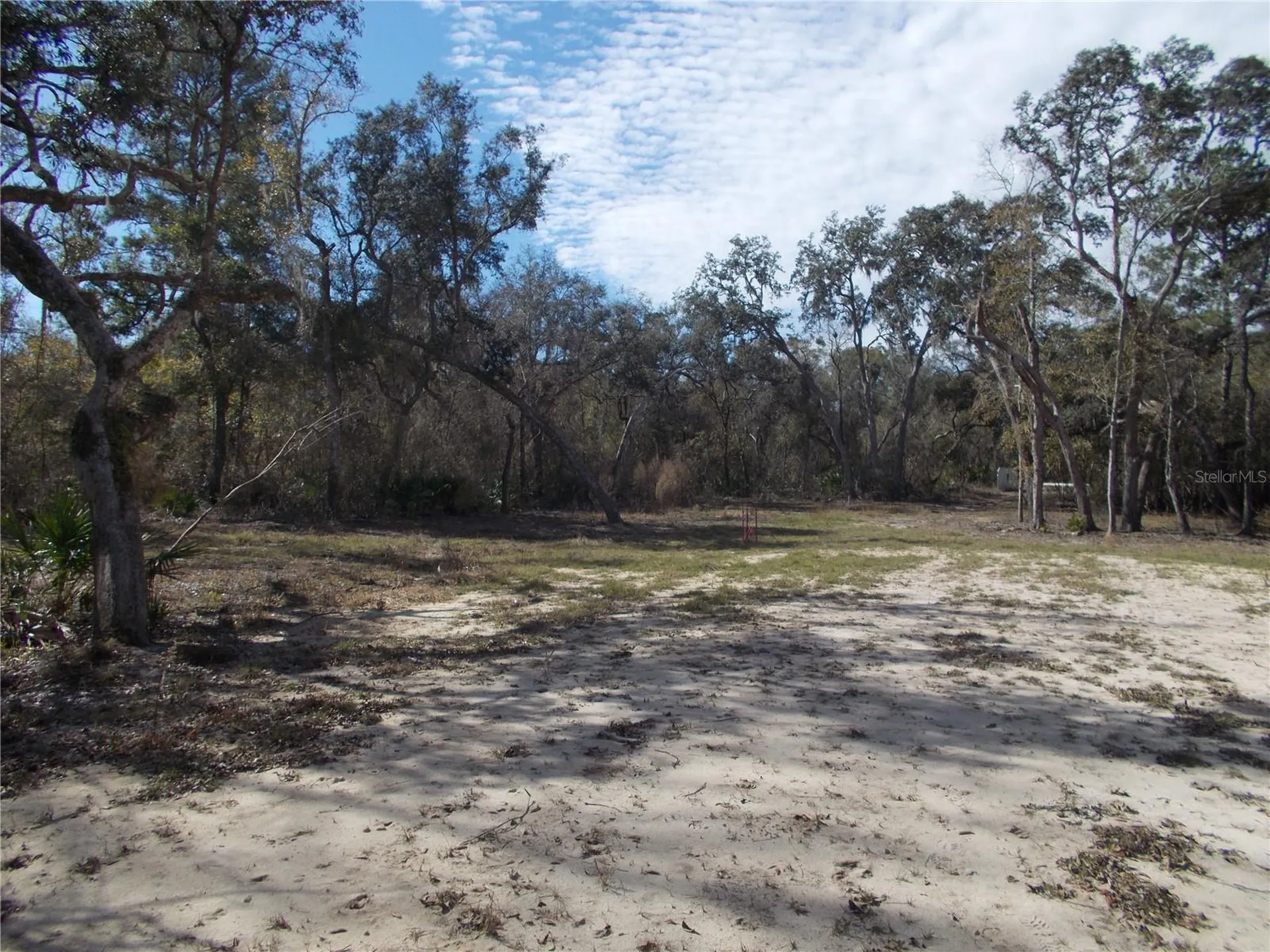 0000 NE 836th Street Old Town FL 32680