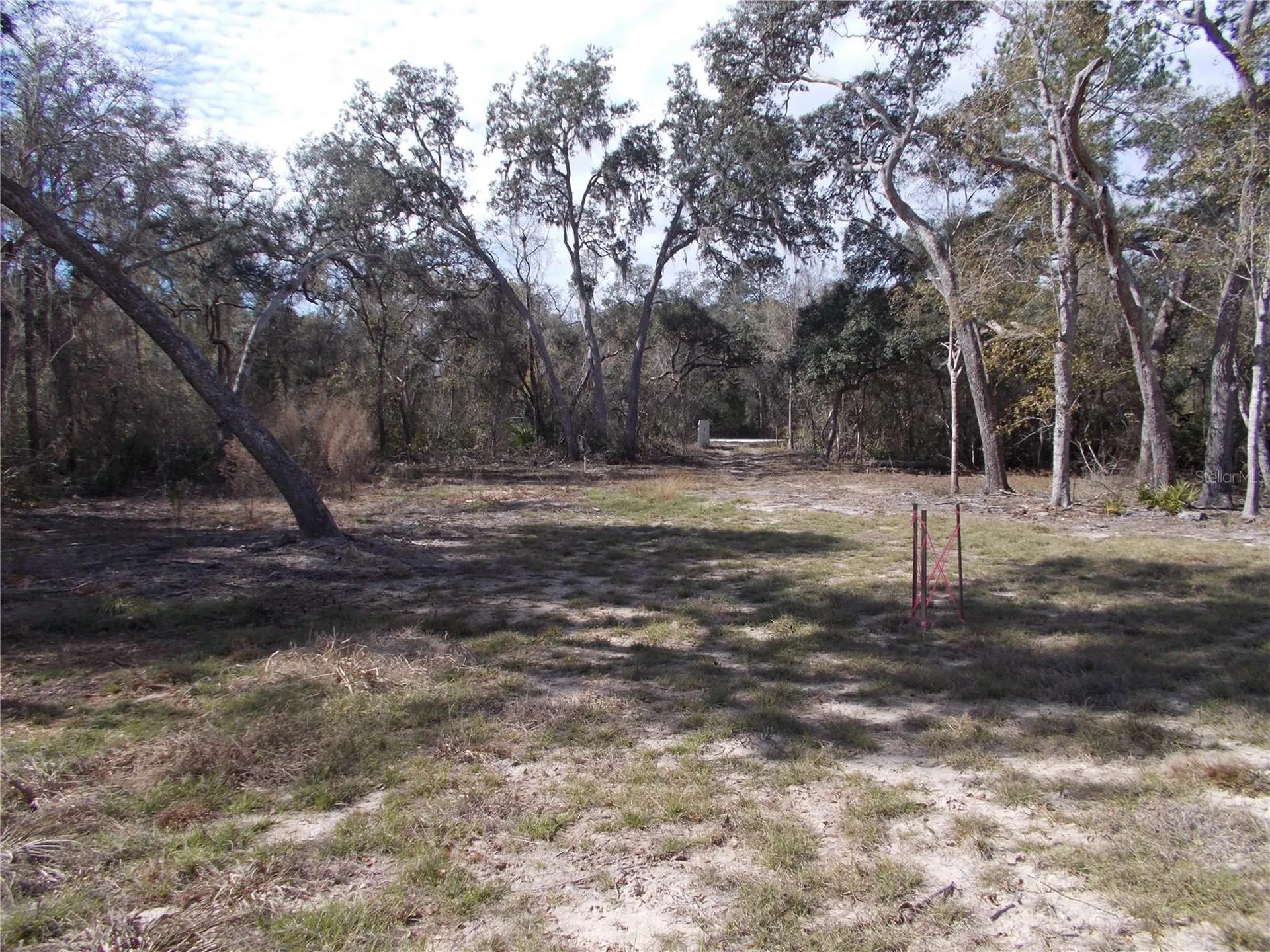 0000 NE 836th Street Old Town FL 32680