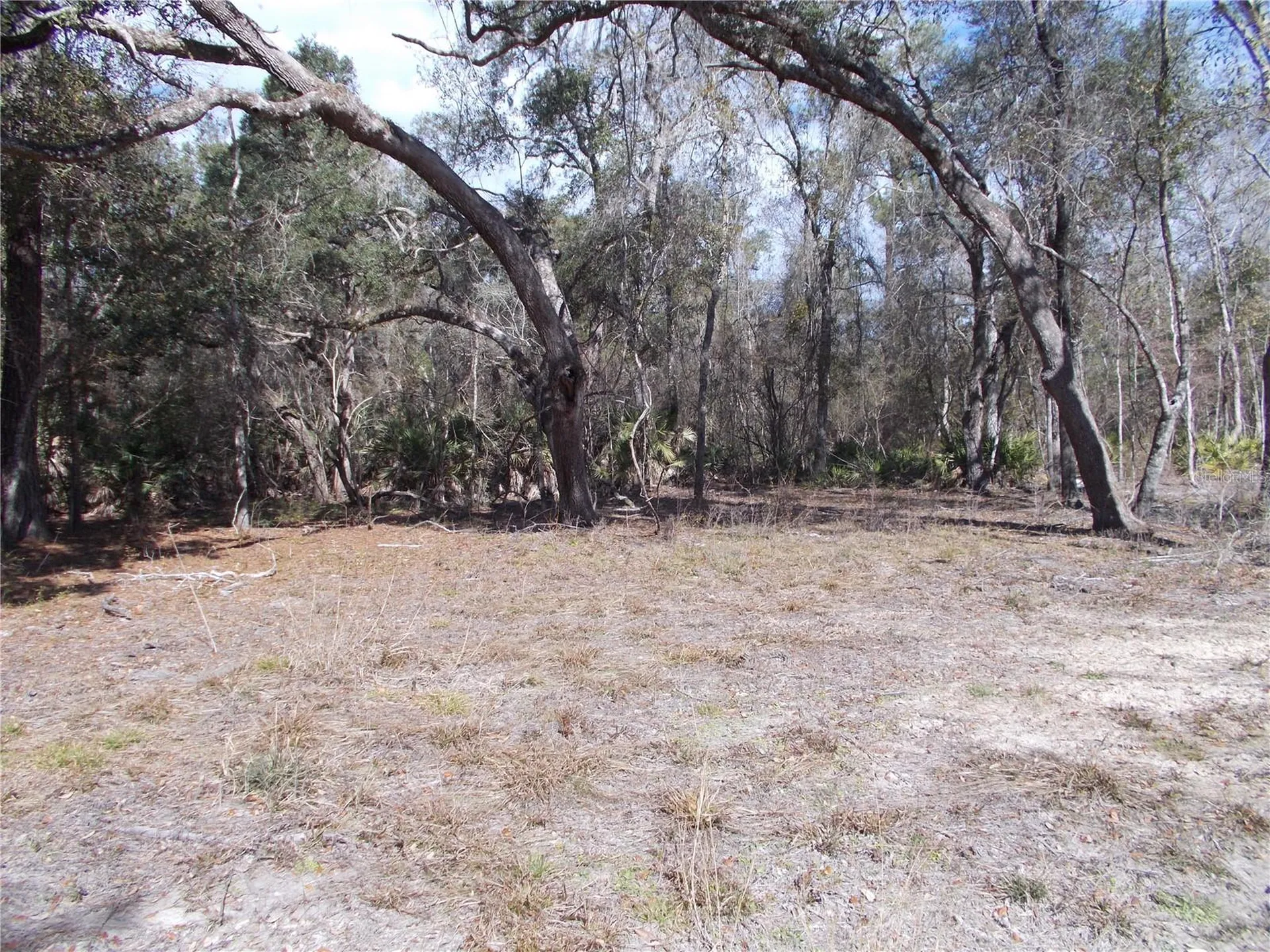 0000 NE 836th Street Old Town FL 32680