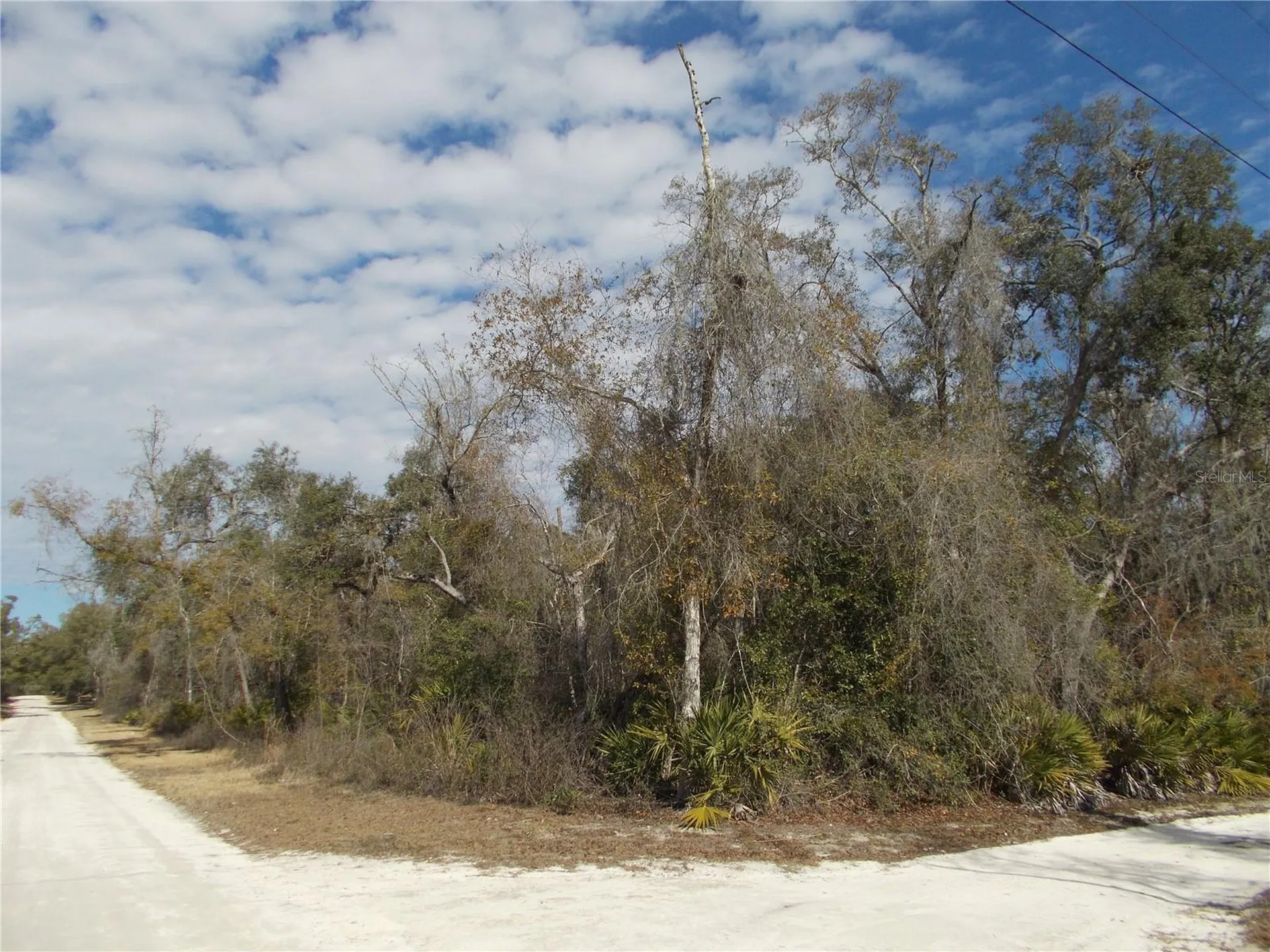 0000 NE 836th Street Old Town FL 32680