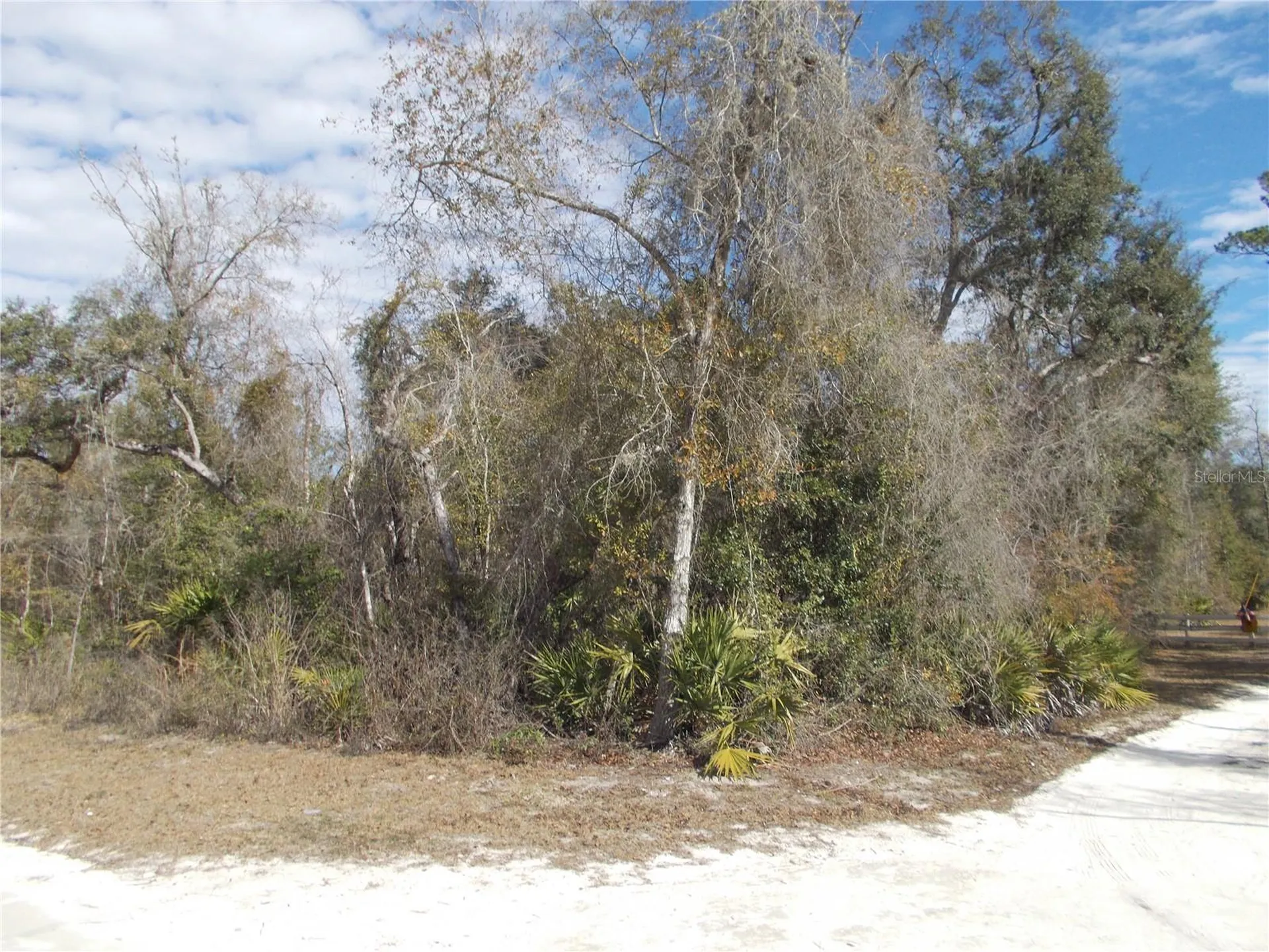 0000 NE 836th Street Old Town FL 32680