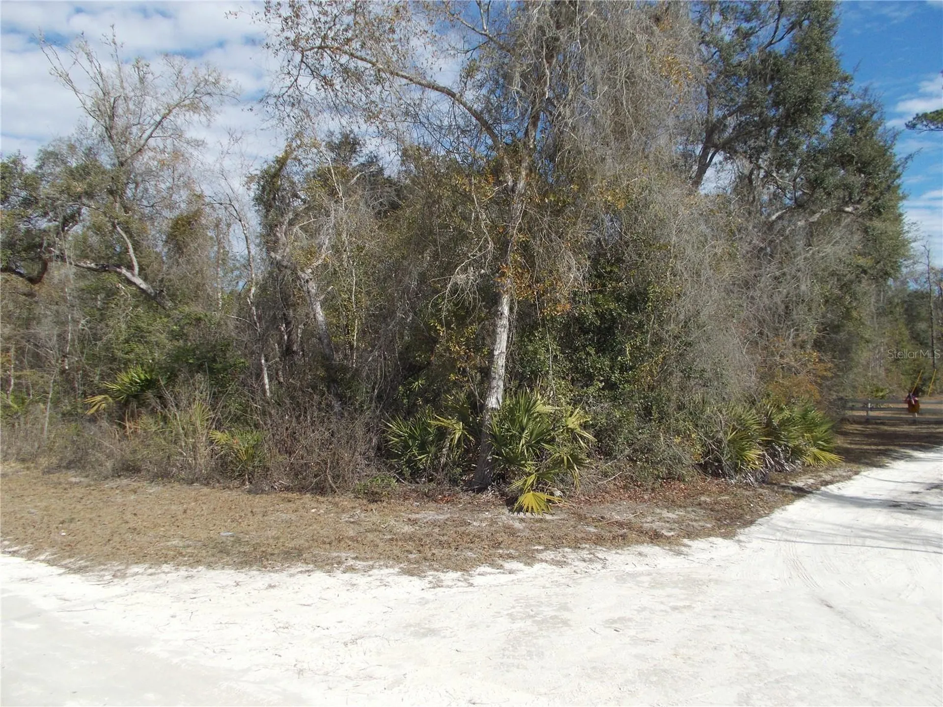 0000 NE 836th Street Old Town FL 32680