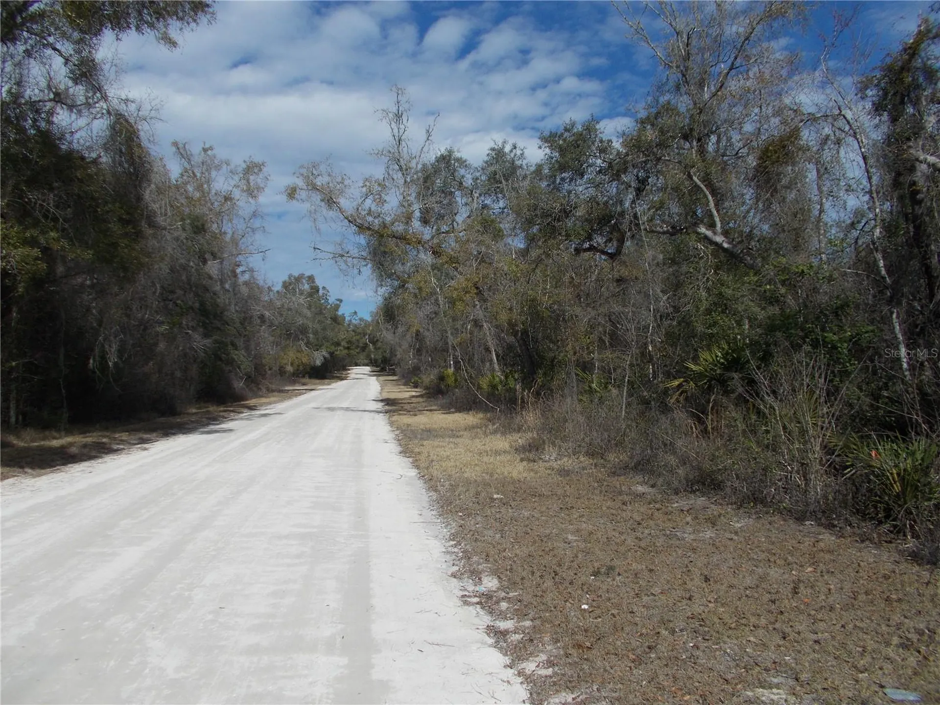 0000 NE 836th Street Old Town FL 32680