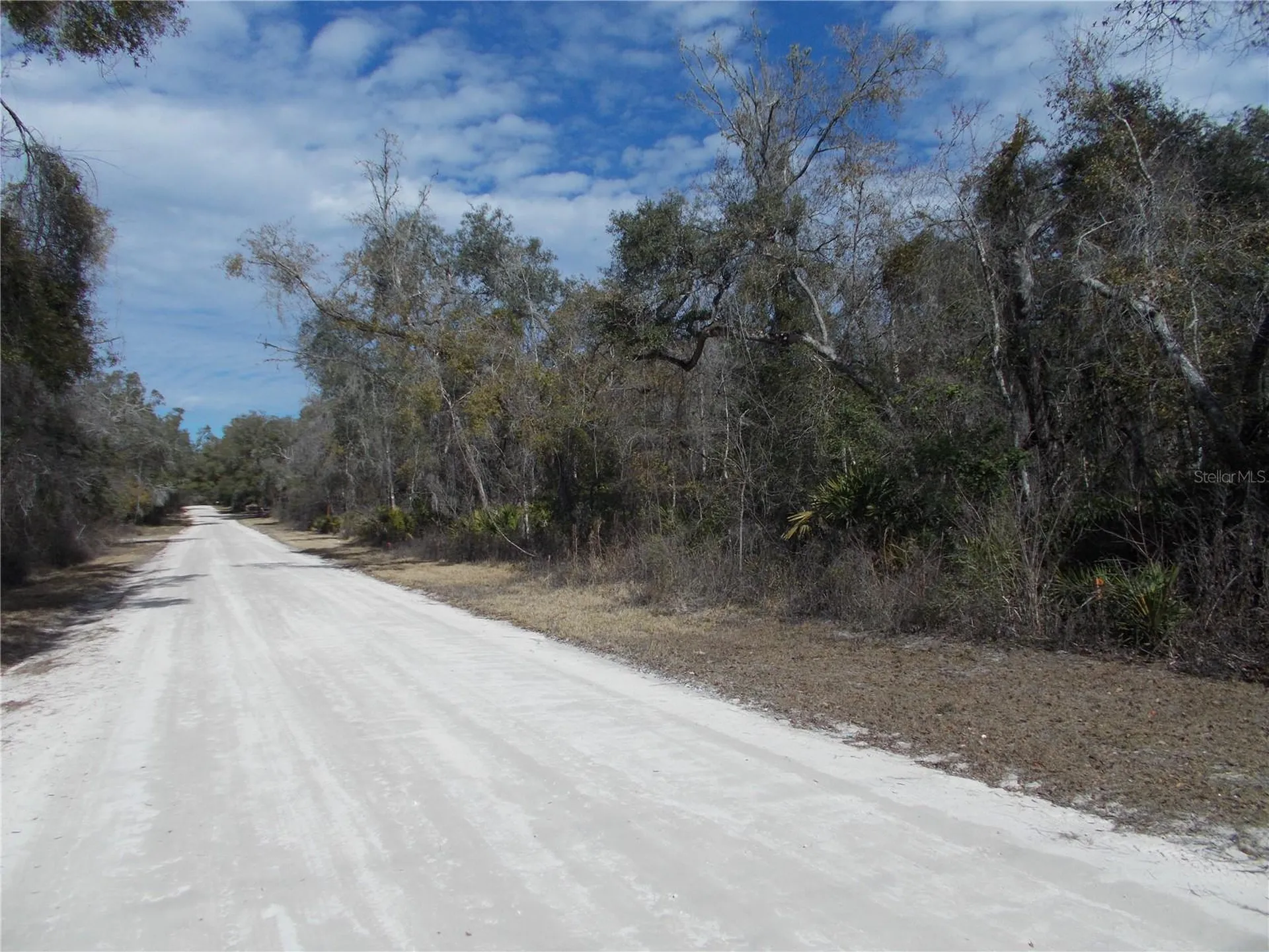 0000 NE 836th Street Old Town FL 32680