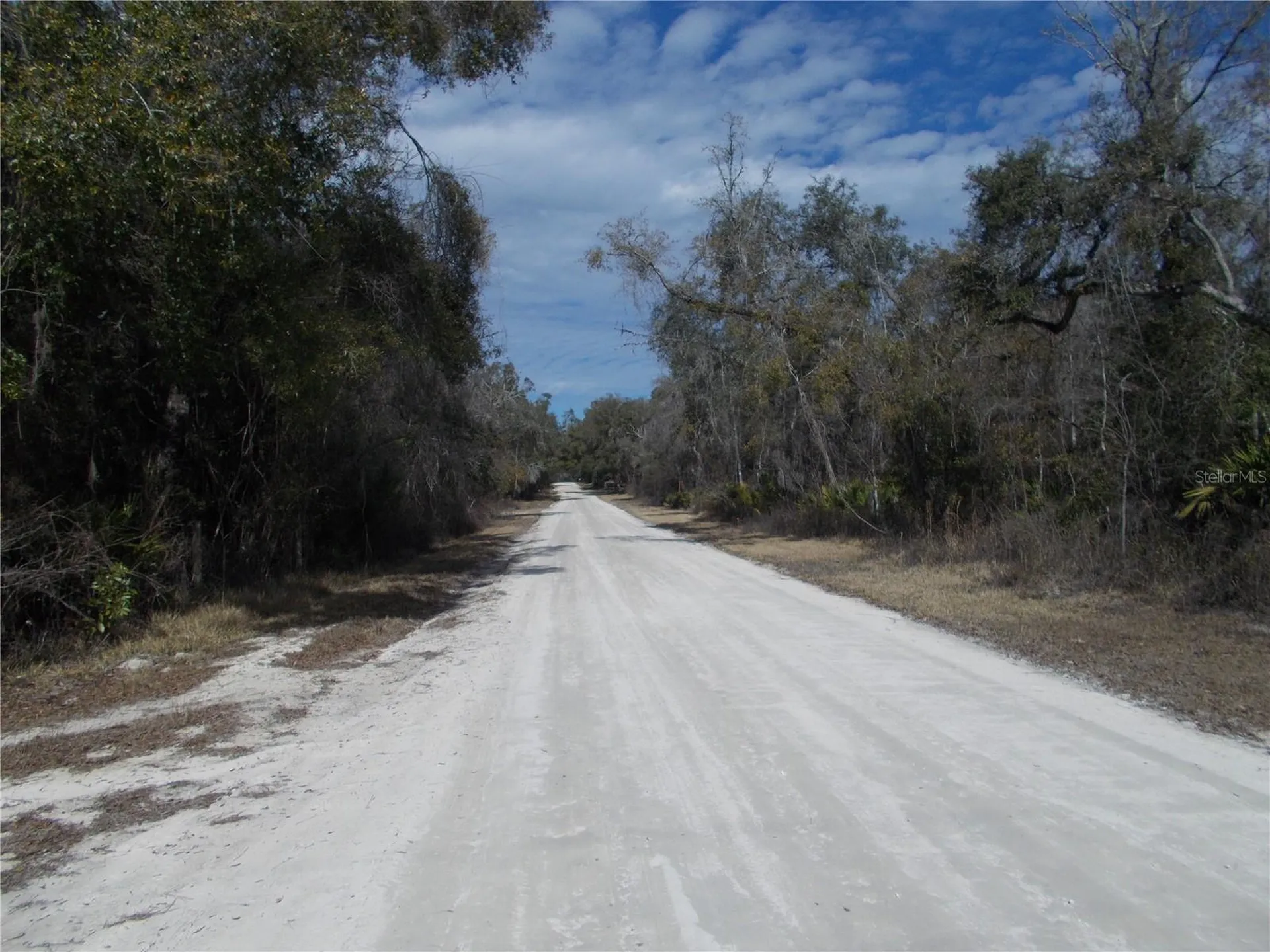 0000 NE 836th Street Old Town FL 32680