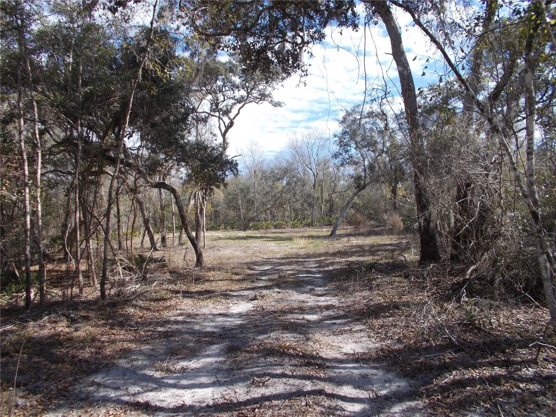 0000 NE 836th Street Old Town FL 32680