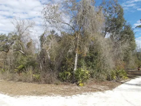 0000 NE 836th Street Old Town FL 32680