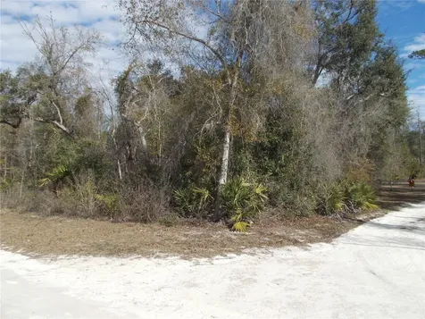 0000 NE 836th Street Old Town FL 32680