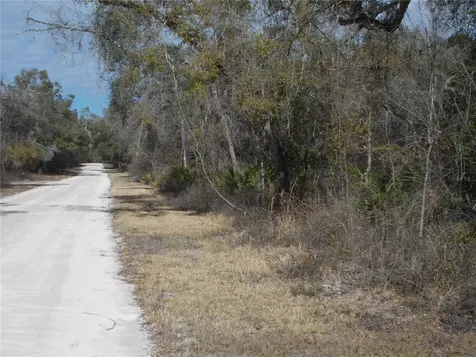 0000 NE 836th Street Old Town FL 32680
