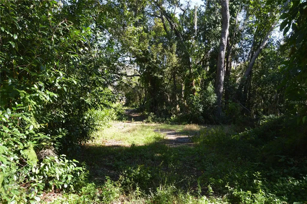 18117 Branch Road Hudson FL 34667