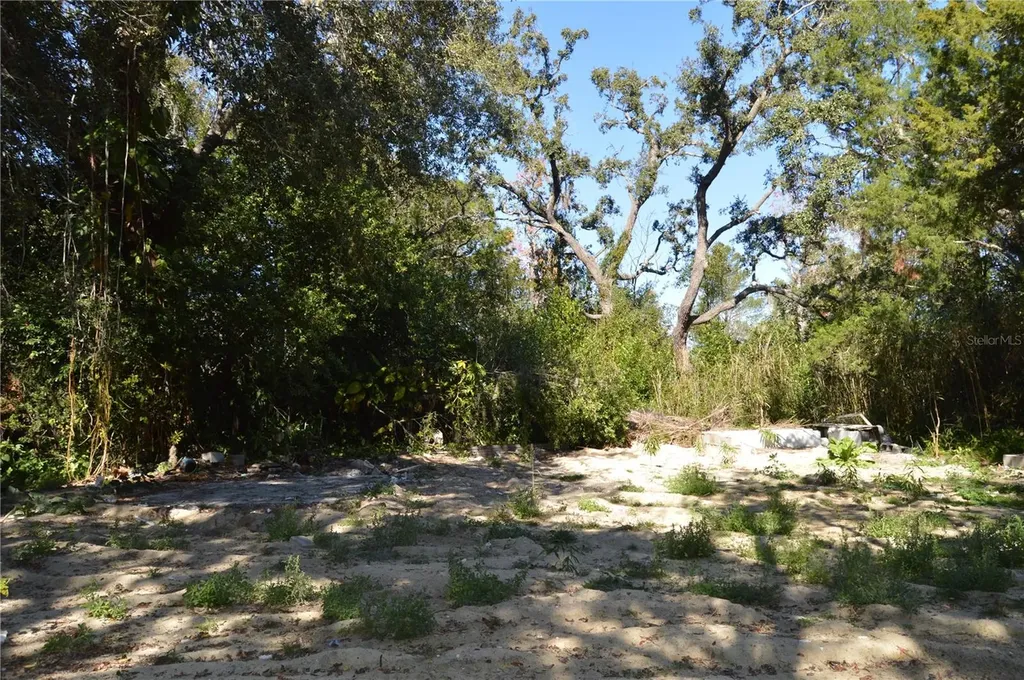 18117 Branch Road Hudson FL 34667