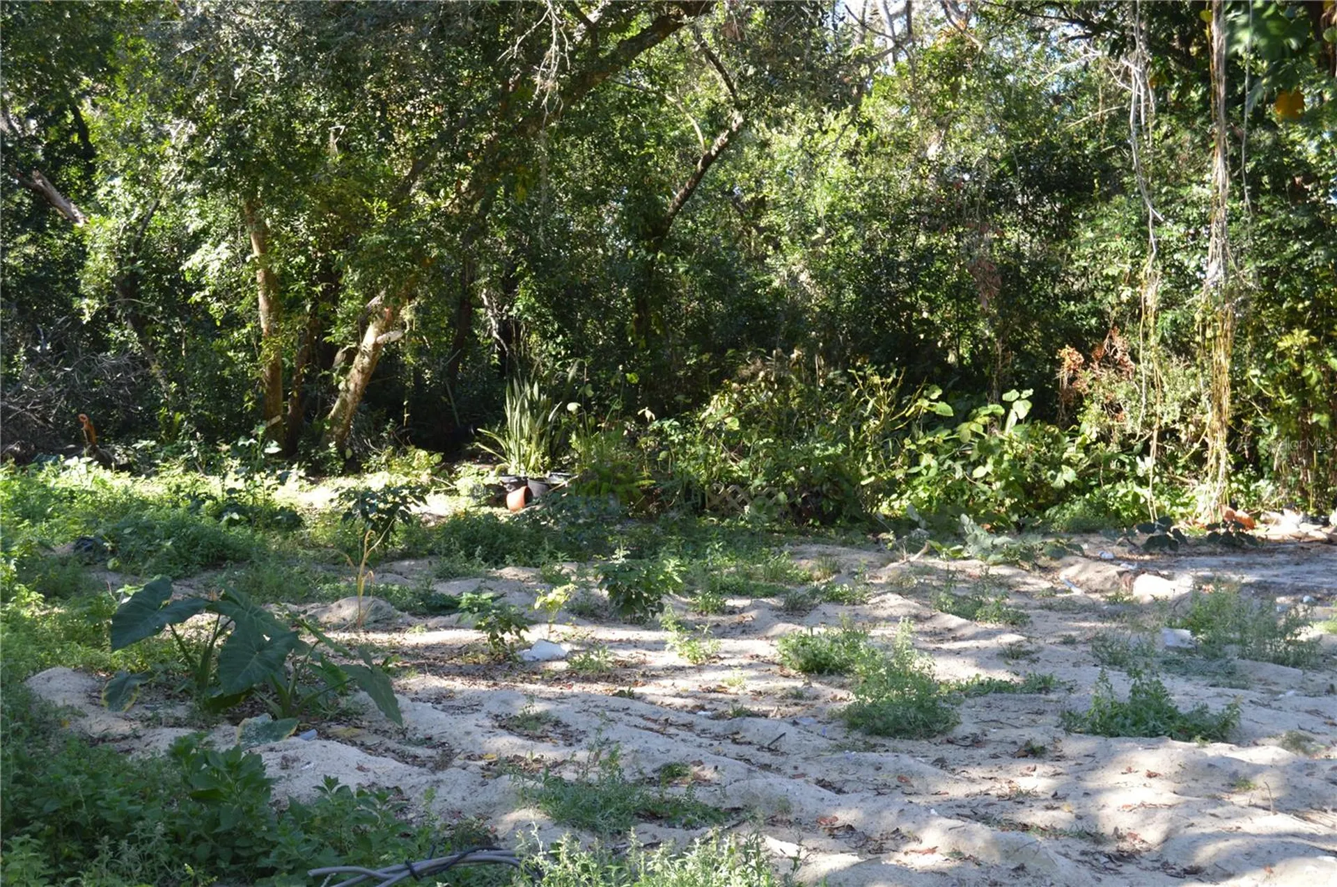 18117 Branch Road Hudson FL 34667