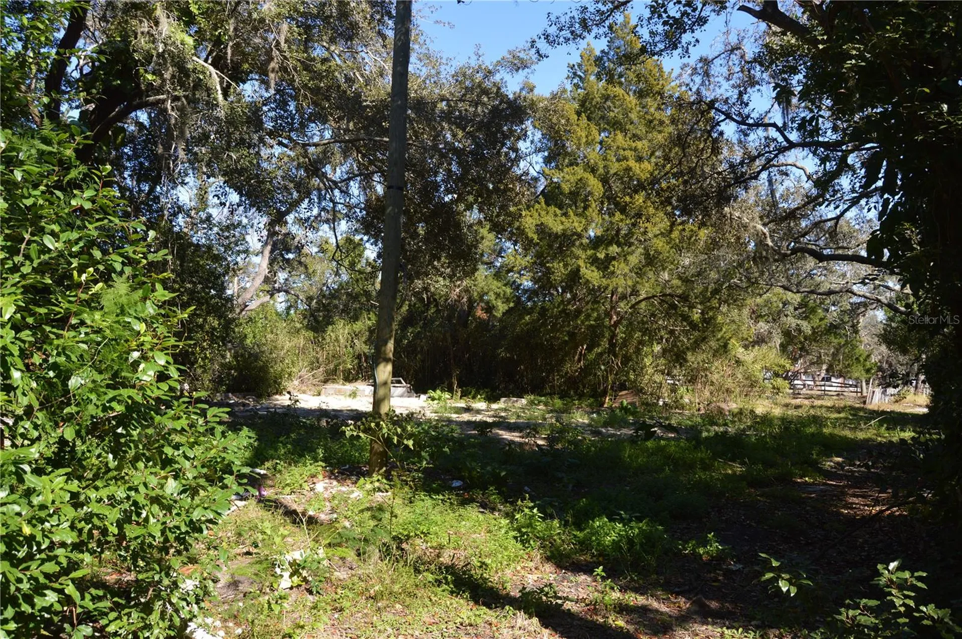 18117 Branch Road Hudson FL 34667