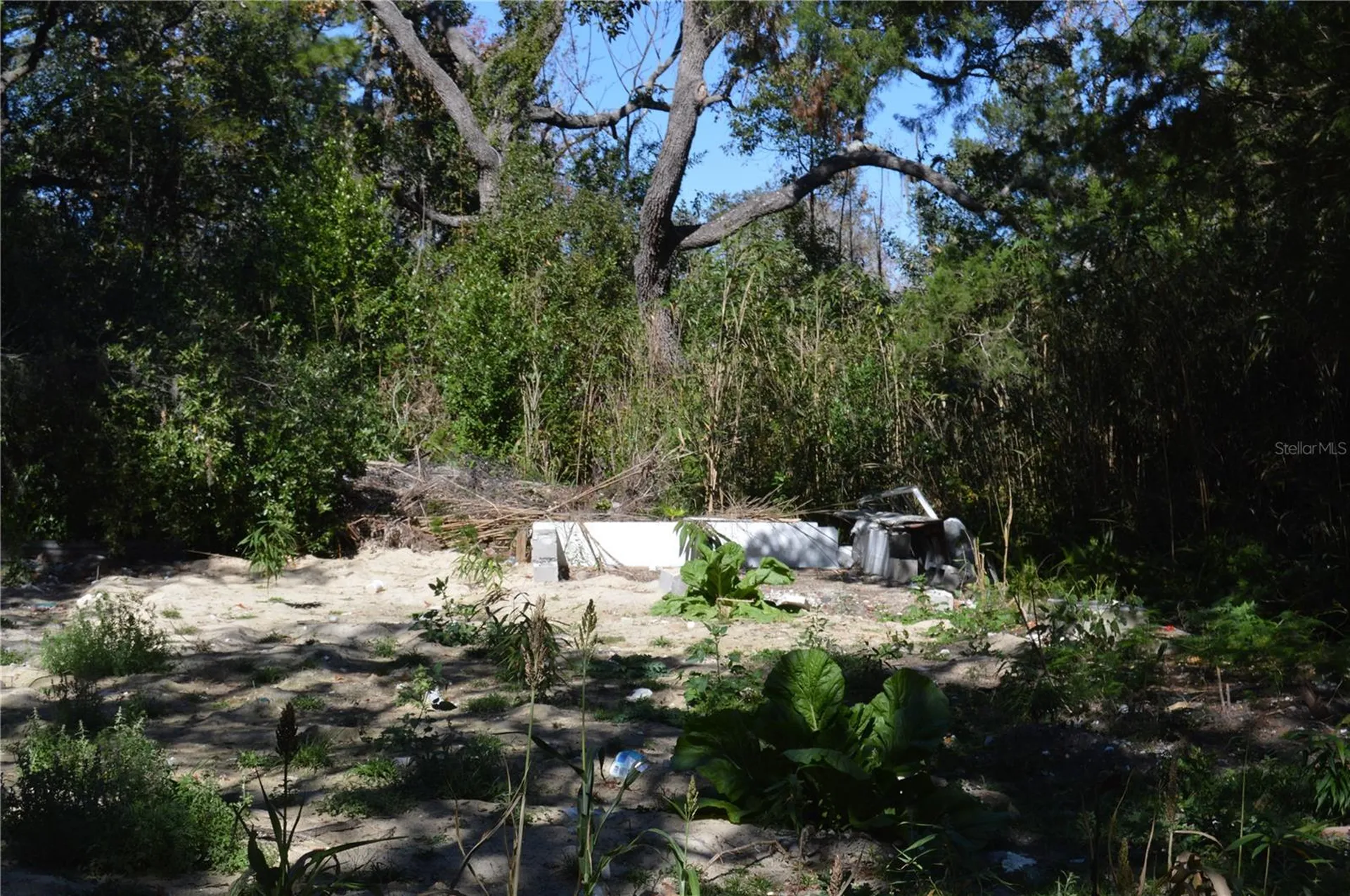 18117 Branch Road Hudson FL 34667
