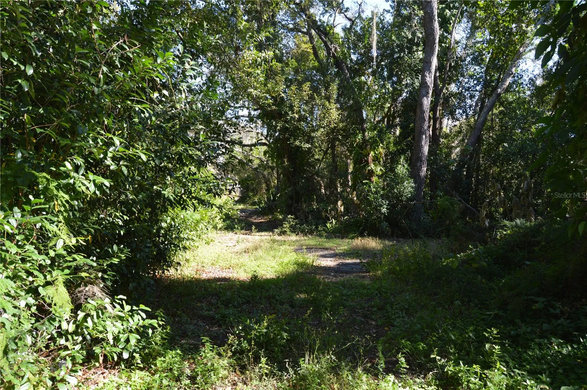 18117 Branch Road Hudson FL 34667