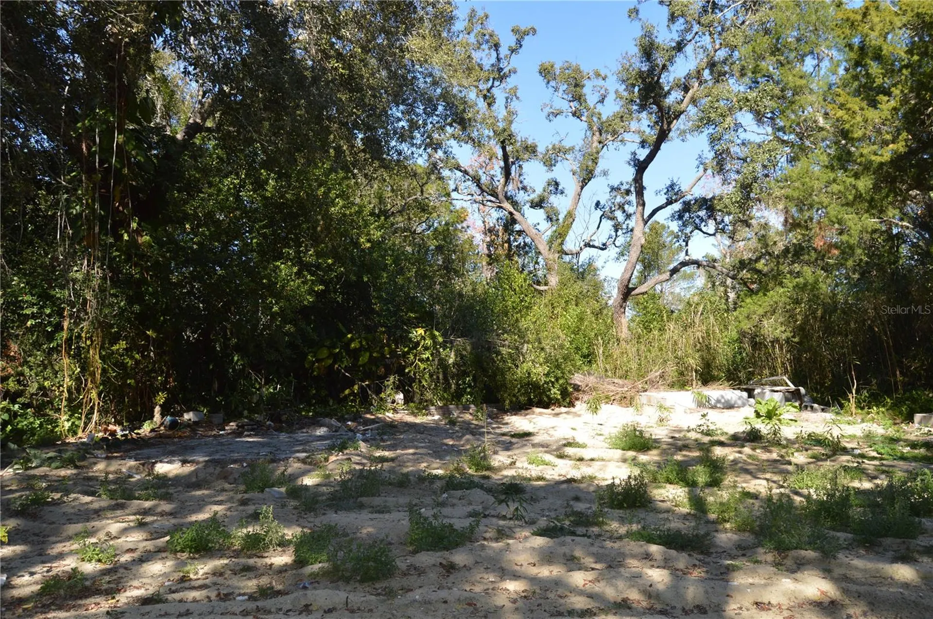 18117 Branch Road Hudson FL 34667