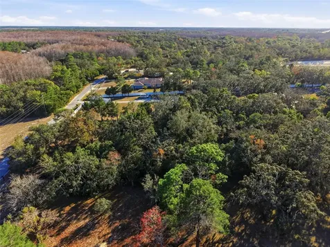 18117 Branch Road Hudson FL 34667
