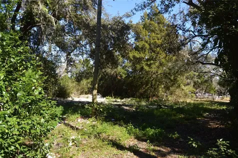 18117 Branch Road Hudson FL 34667