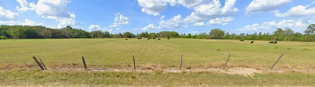 8335 Florida Boys Ranch Road Groveland FL 34736