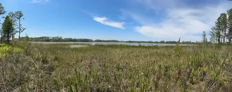 8335 Florida Boys Ranch Road Groveland FL 34736