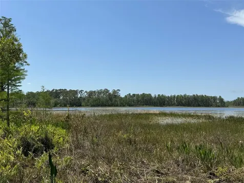 8335 Florida Boys Ranch Road Groveland FL 34736