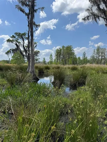 8335 Florida Boys Ranch Road Groveland FL 34736