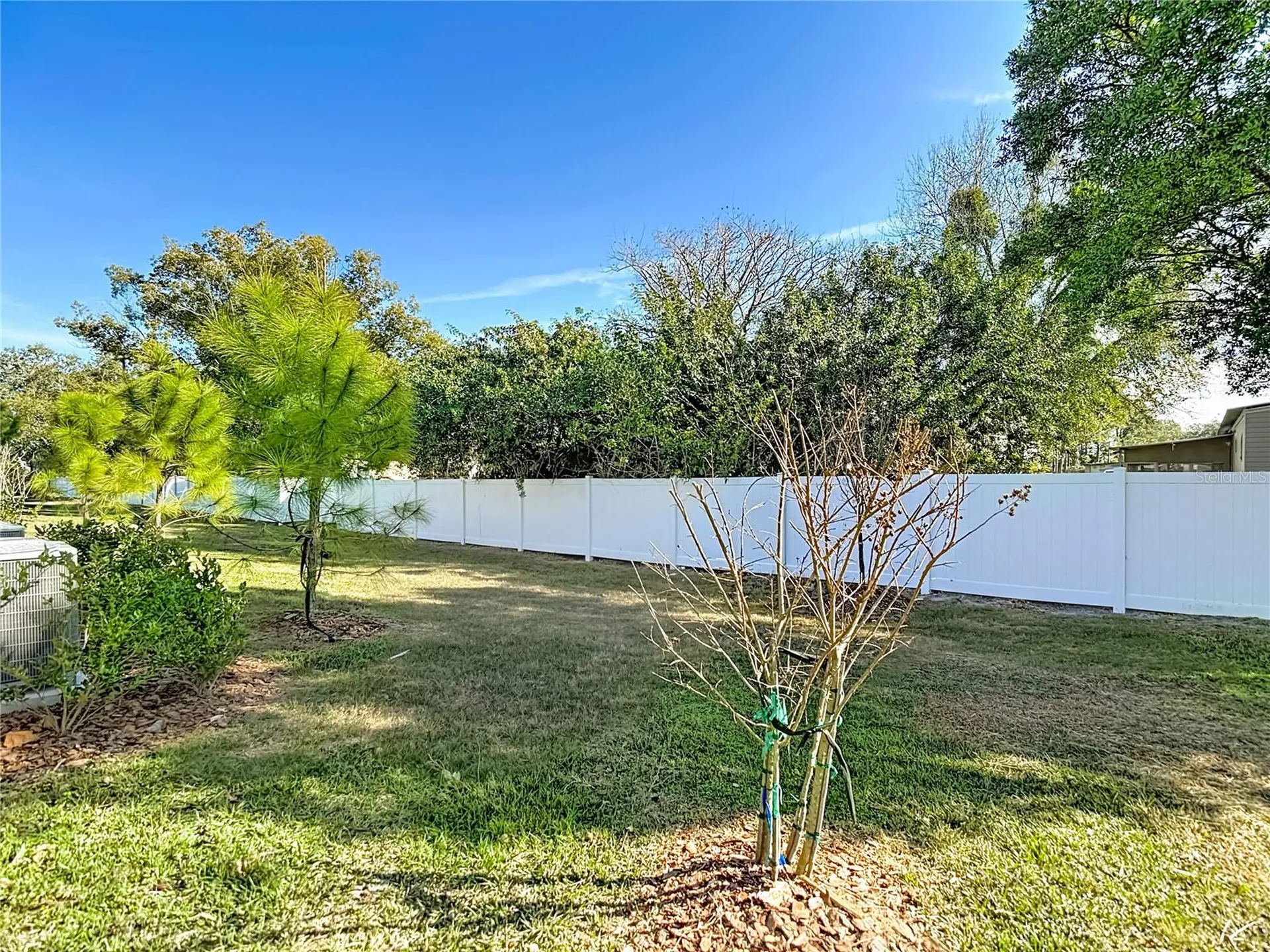 6170 Shiner Street Land O Lakes FL 34638