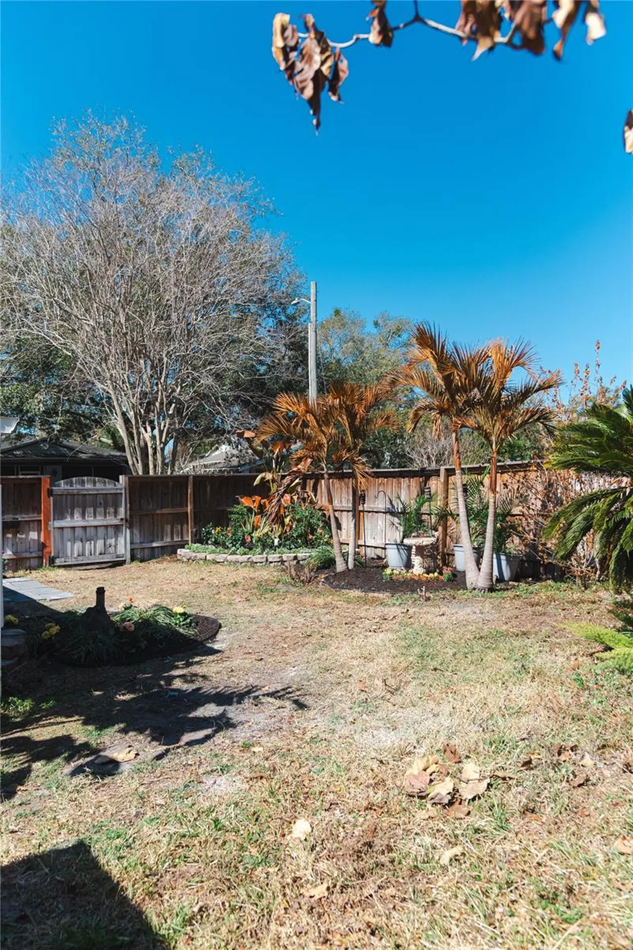 300 E Idlewild Avenue Tampa FL 33604