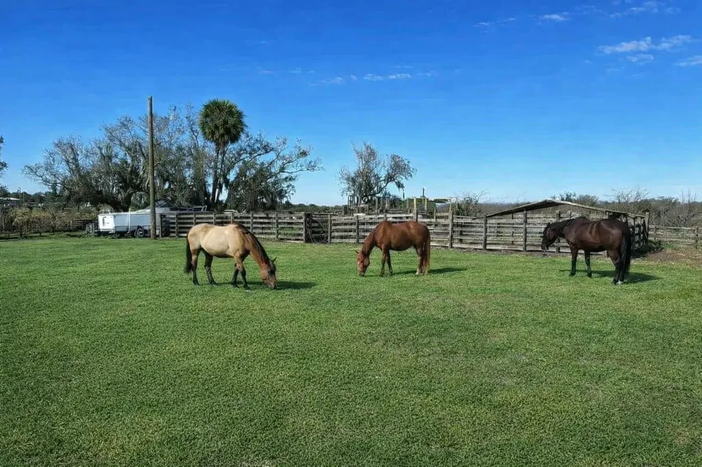 15080 NW 12th Terrace Okeechobee FL 34972