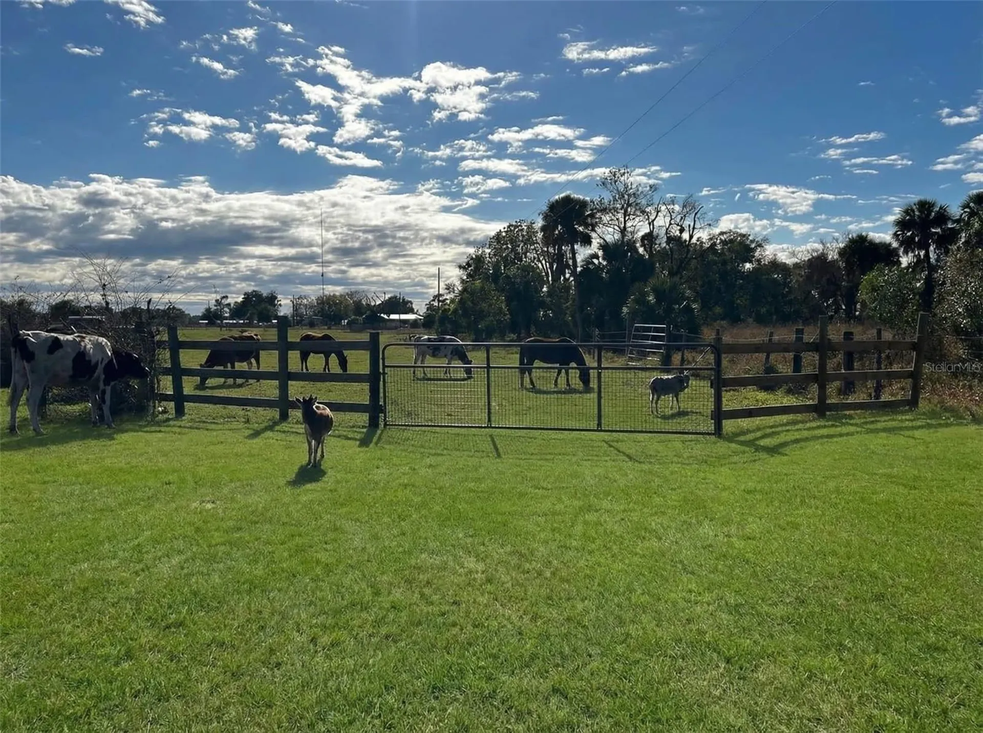 15080 NW 12th Terrace Okeechobee FL 34972