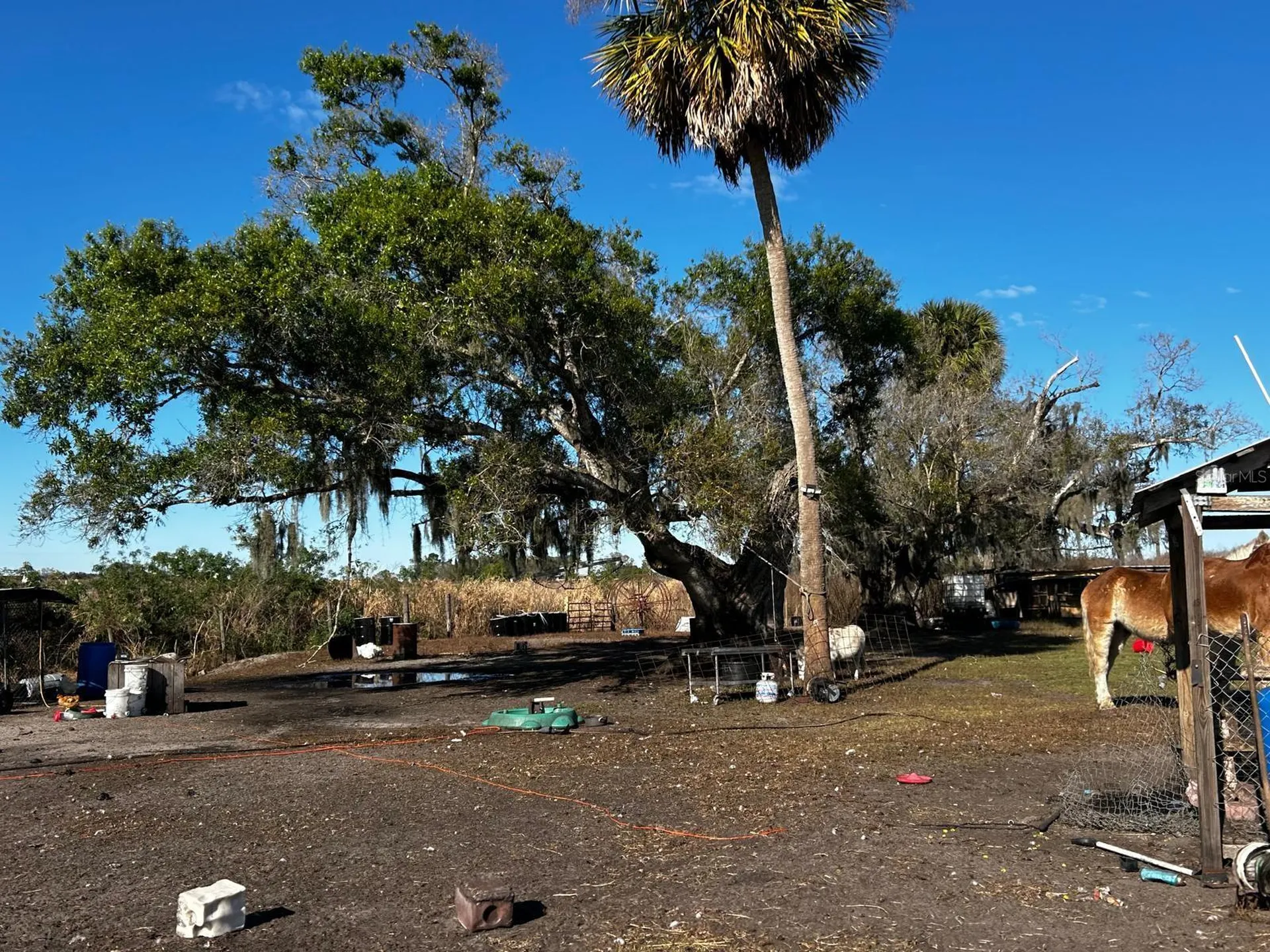 15080 NW 12th Terrace Okeechobee FL 34972