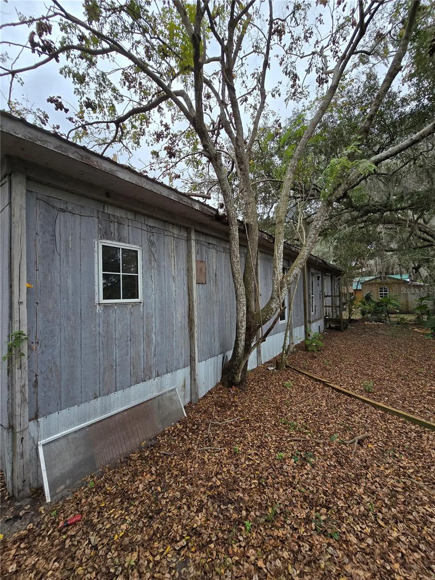 103 SW 3rd Street Webster FL 33597