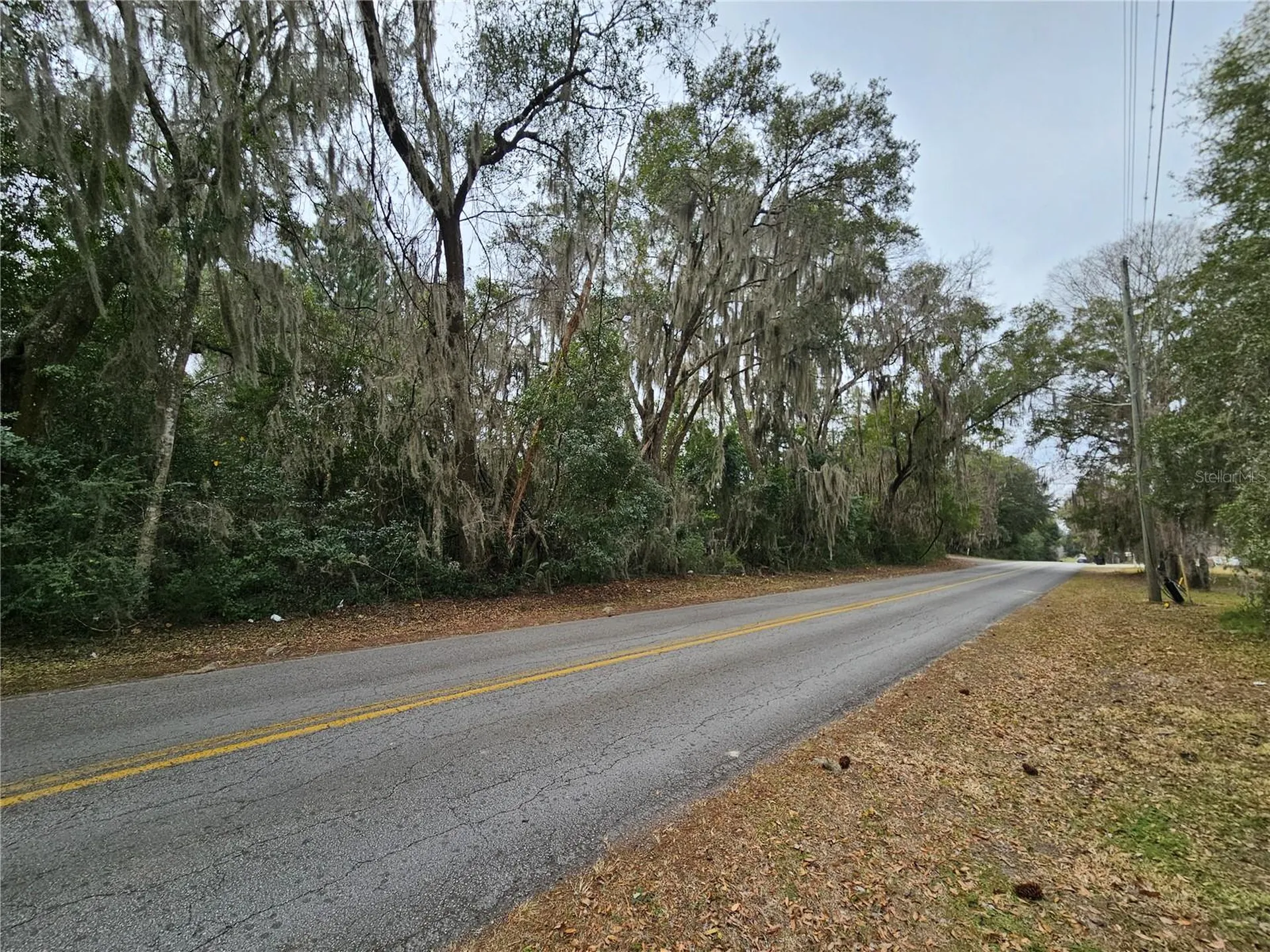 Tbd SW 6th Avenue Williston FL 32696