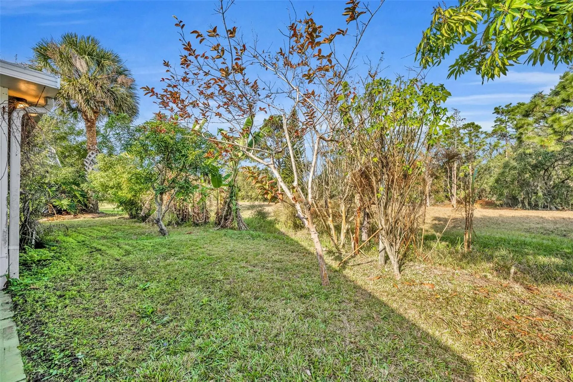3136 Crystal Creek Boulevard Orlando FL 32837