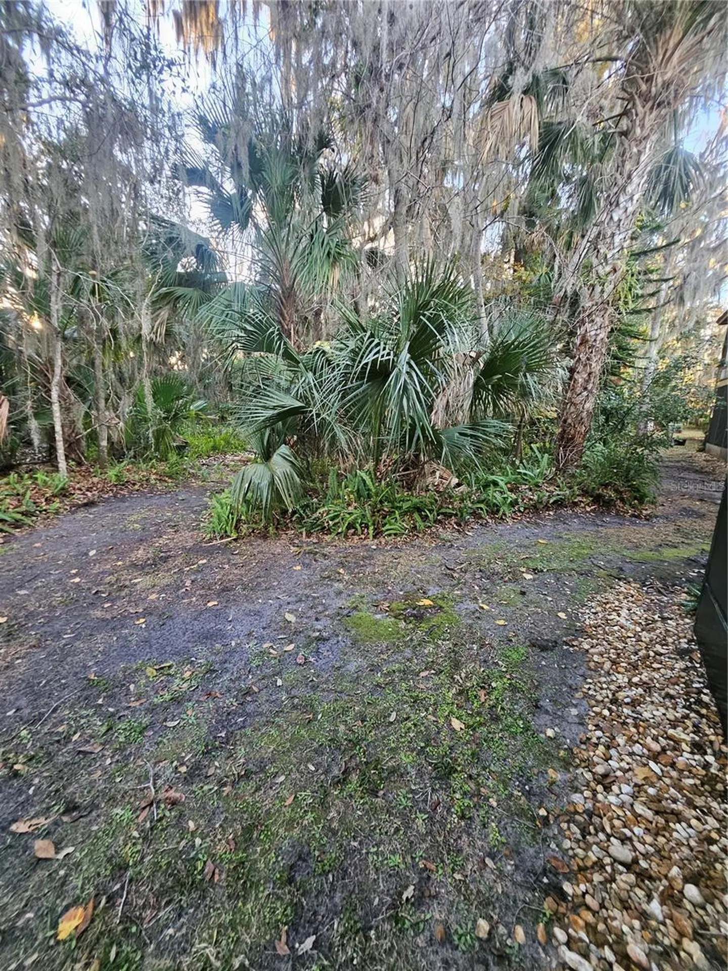 140 Orchid Woods Court Deltona FL 32725