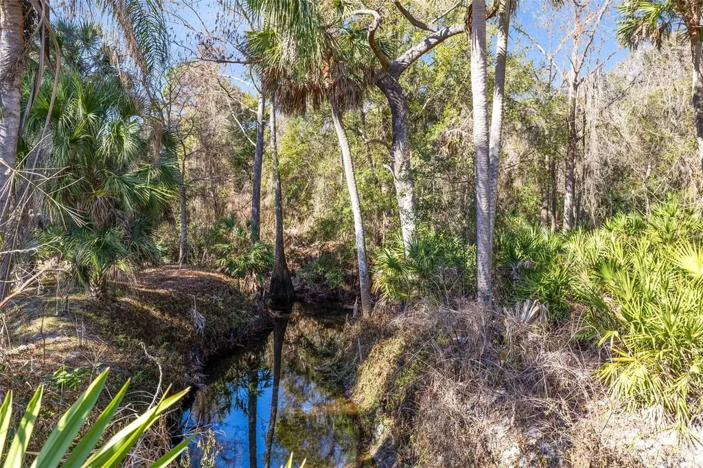 903 Torrey Pine Drive Winter Springs FL 32708
