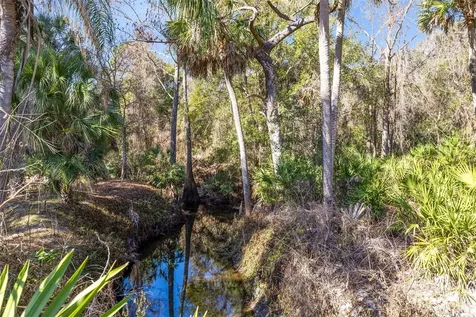 903 Torrey Pine Drive Winter Springs FL 32708
