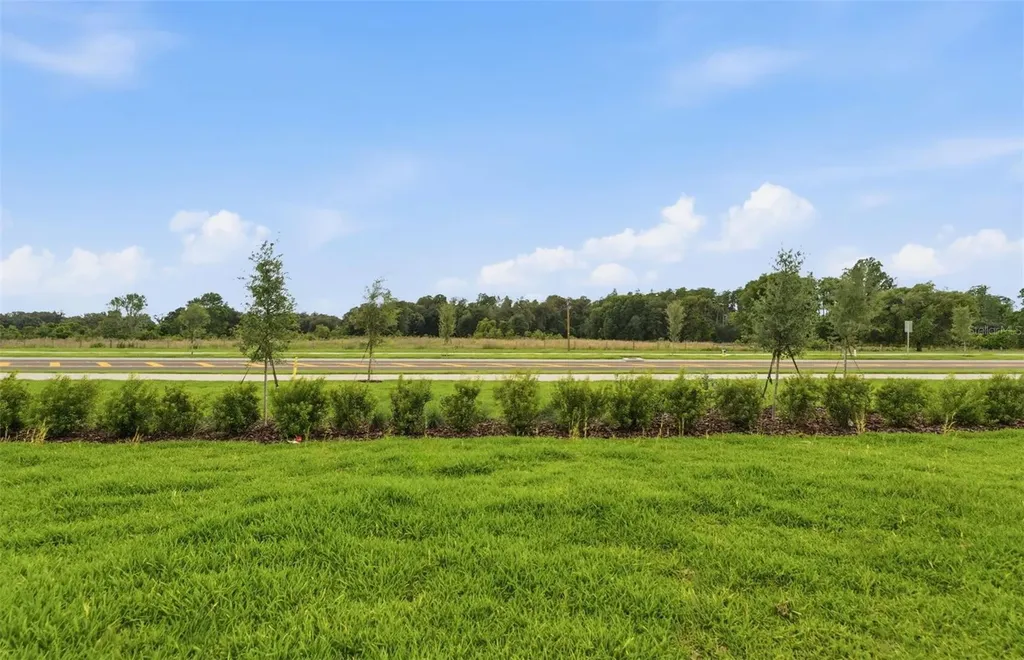 33456 Herds Hallow Way Wesley Chapel FL 33545