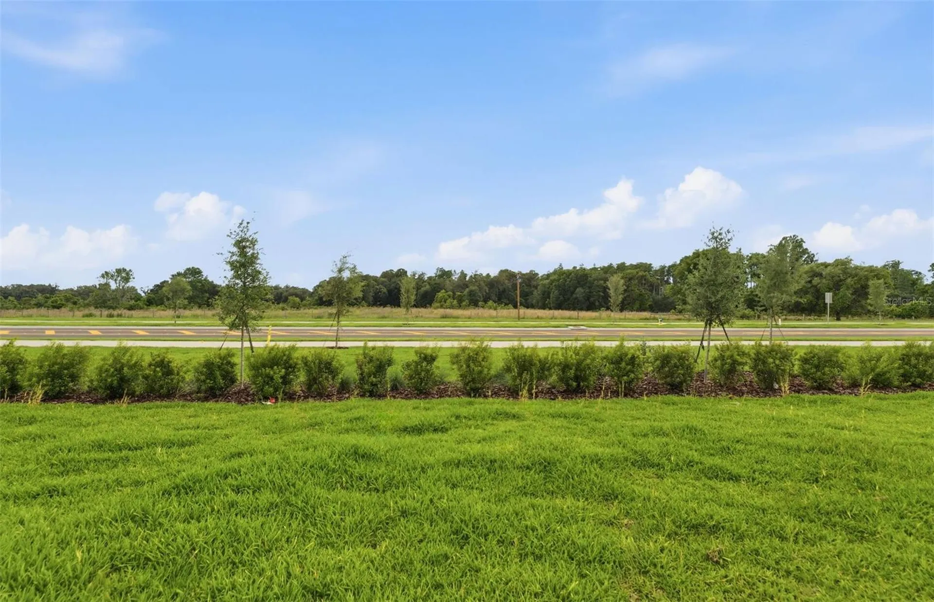 33456 Herds Hallow Way Wesley Chapel FL 33545
