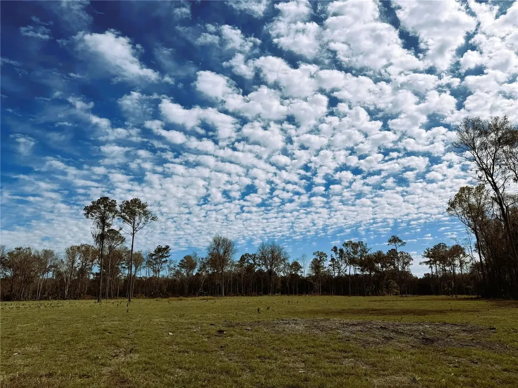 Drive #3 (10ac) NW 193rd Street Micanopy FL 32667