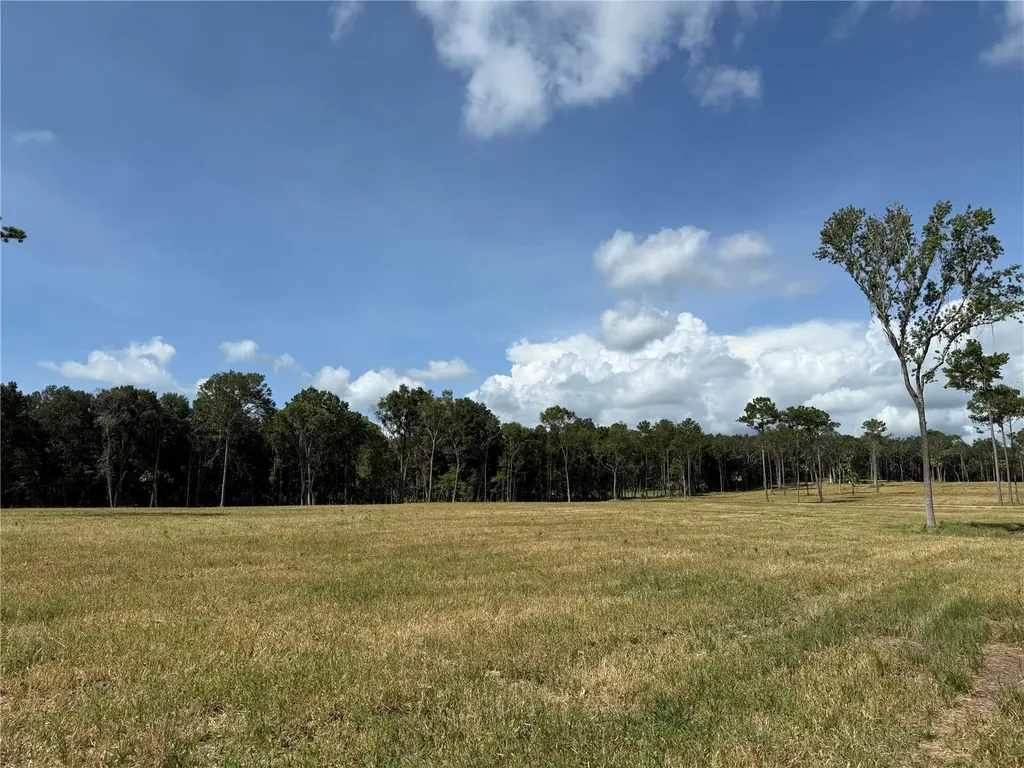 Drive #3 (10ac) NW 193rd Street Micanopy FL 32667