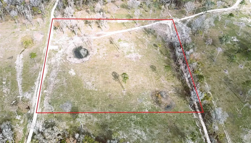 Drive #3 (10ac) NW 193rd Street Micanopy FL 32667