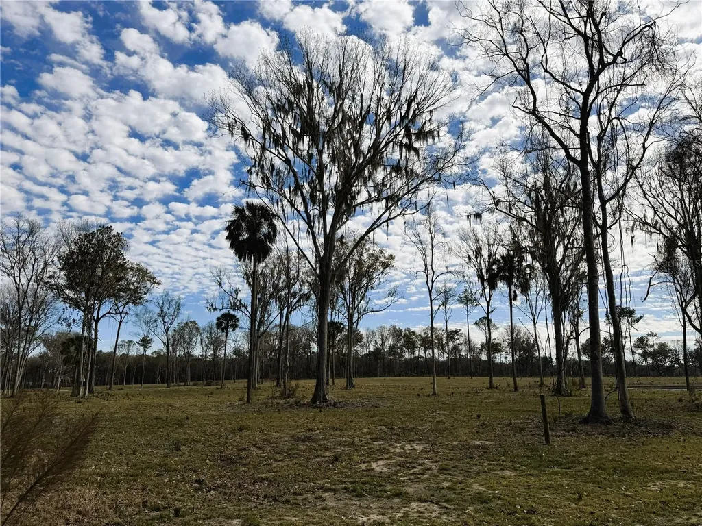 Drive #3 (10ac) NW 193rd Street Micanopy FL 32667