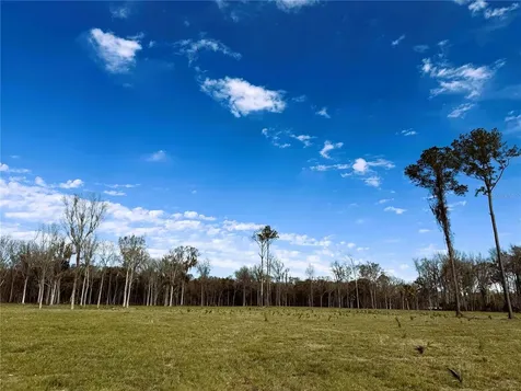 Drive #3 (10ac) NW 193rd Street Micanopy FL 32667