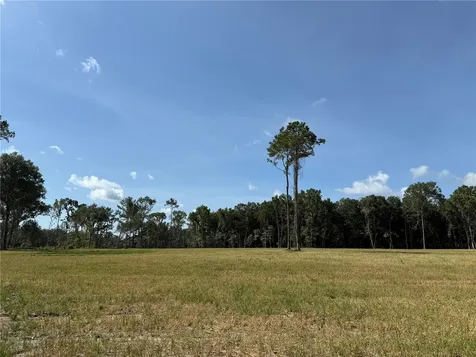 Drive #3 (10ac) NW 193rd Street Micanopy FL 32667